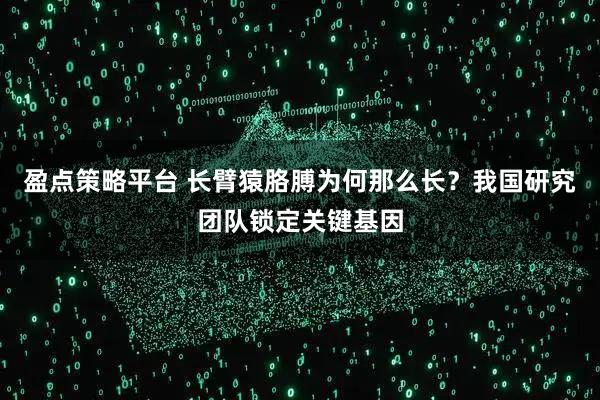 盈点策略平台 长臂猿胳膊为何那么长？我国研究团队锁定关键基因