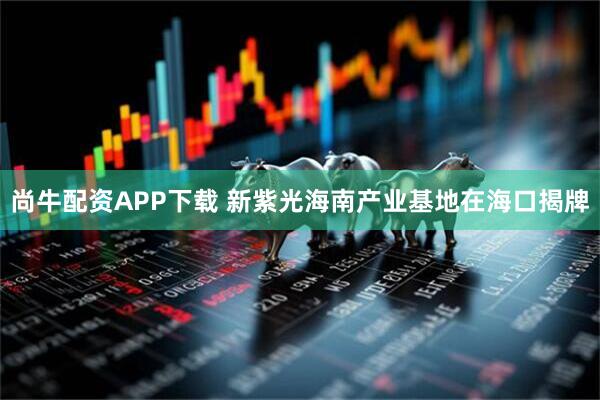 尚牛配资APP下载 新紫光海南产业基地在海口揭牌