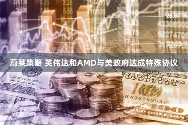 蔚莱策略 英伟达和AMD与美政府达成特殊协议