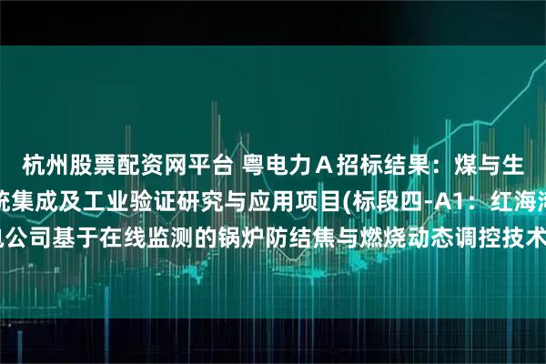 杭州股票配资网平台 粤电力Ａ招标结果：煤与生物质直接耦合发电系统集成及工业验证研究与应用项目(标段四-A1：红海湾发电公司基于在线监测的锅炉防结焦与燃烧动态调控技术研究及应用）中标候选人公示
